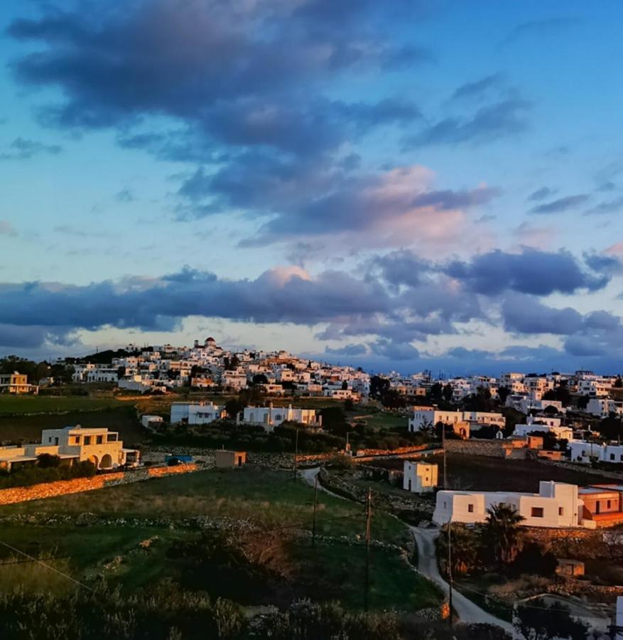 Villa Amphitrite'S Haven - Cycladic House In Marpissa, Paros Exterior foto